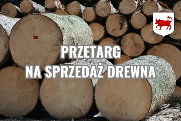 Trzeci przetarg na drewno opałowe w Turku – cena wywoławcza 1243 zł brutto