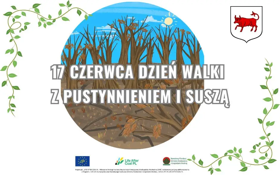 Dzień Walki z Pustynnieniem i Suszą – jak Polska radzi sobie z niedoborem wody?