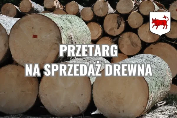 Trzeci przetarg na drewno opałowe w Turku – cena wywoławcza 2106,82 zł brutto