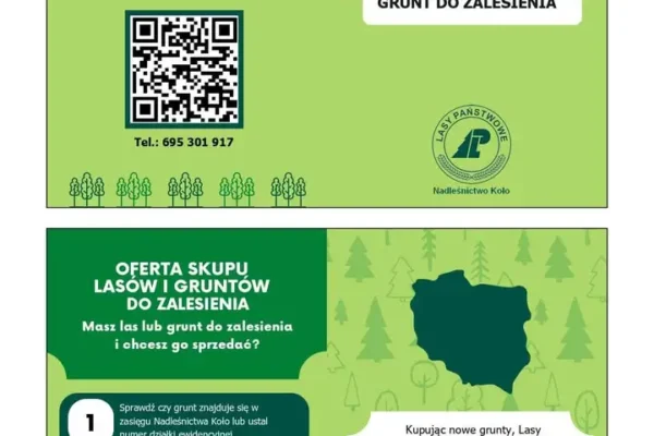 Nadleśnictwo Koło kupi las lub grunt do zalesienia – sprawdź warunki