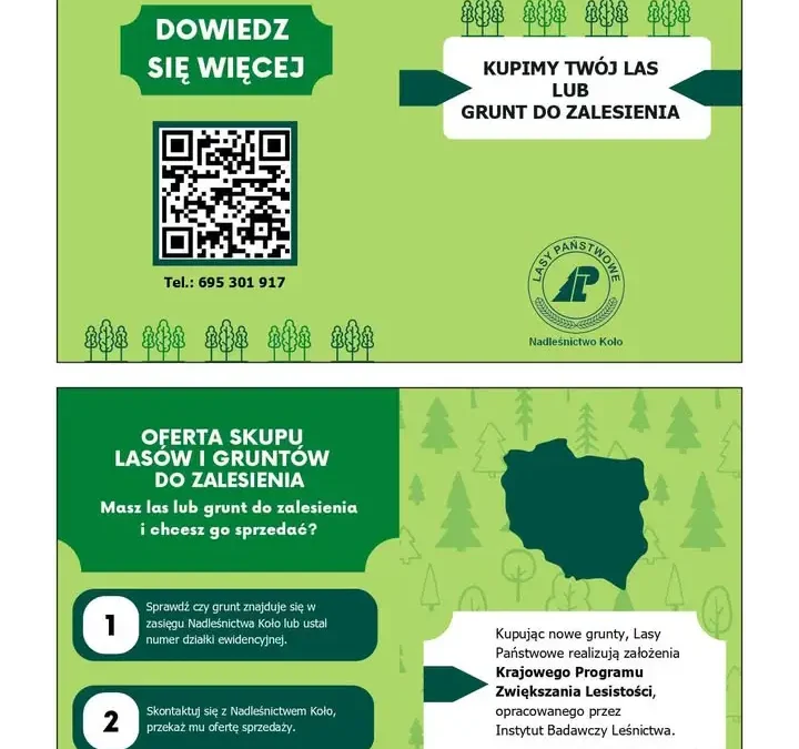Nadleśnictwo Koło kupi las lub grunt do zalesienia – sprawdź warunki