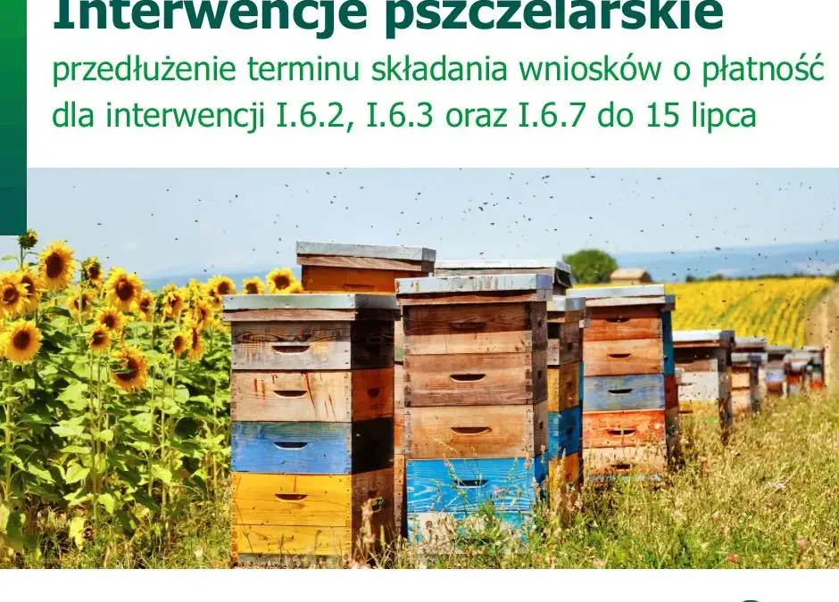 Wydłużony termin składania wniosków o płatność dla pszczelarzy