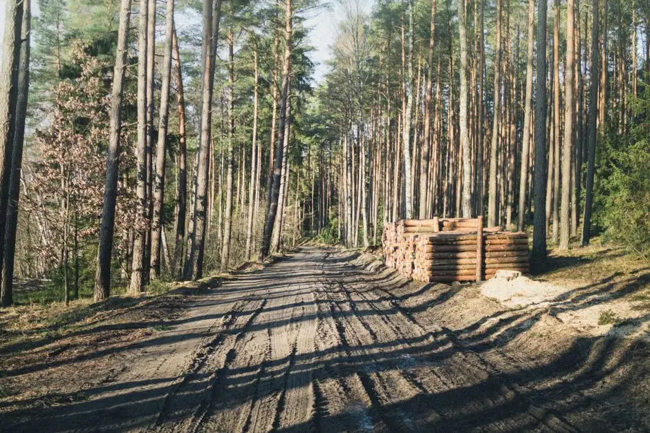Gmina Nowy Kawęczyn otrzymała dofinansowanie na remont drogi w Sewerynowie