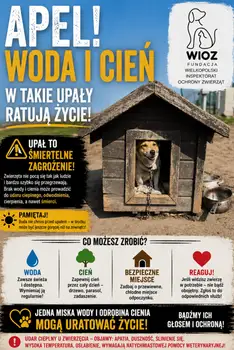 Upały w gminie Brudzew – apel o reagowanie na zagrożone zwierzęta