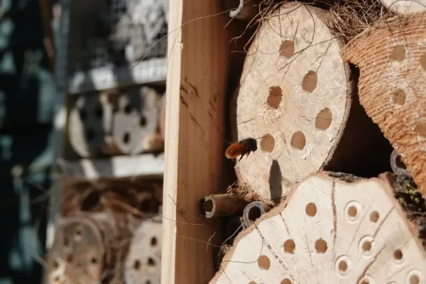 Eko Piknik z Naturą w Kolnicy – edukacja i zabawa mimo deszczu