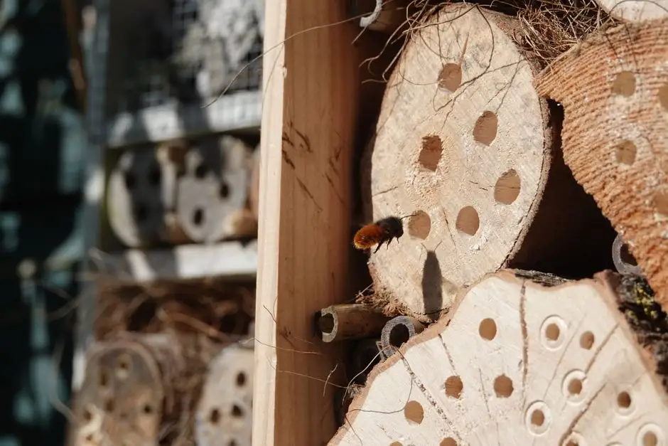 Eko Piknik z Naturą w Kolnicy – edukacja i zabawa mimo deszczu
