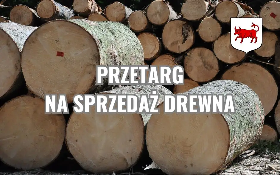 Trzeci przetarg na drewno opałowe w Turku – cena wywoławcza 1243 zł brutto