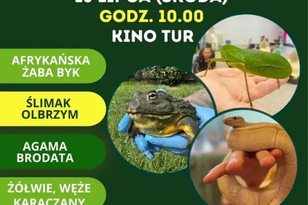 Egzotyczna przygoda w Turku – spotkanie z egzotycznymi zwierzętami 15 lipca