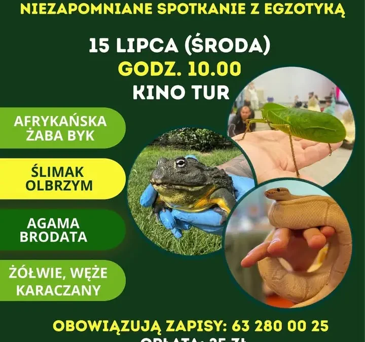 Egzotyczna przygoda w Turku – spotkanie z egzotycznymi zwierzętami 15 lipca
