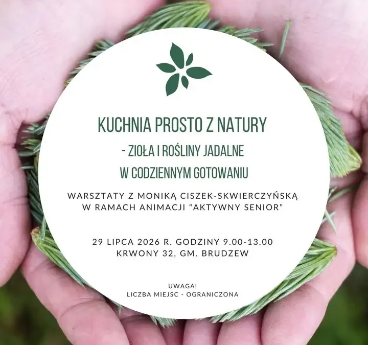 Warsztaty kulinarne z ziołami i roślinami jadalnymi dla seniorów w gminie Brudzew