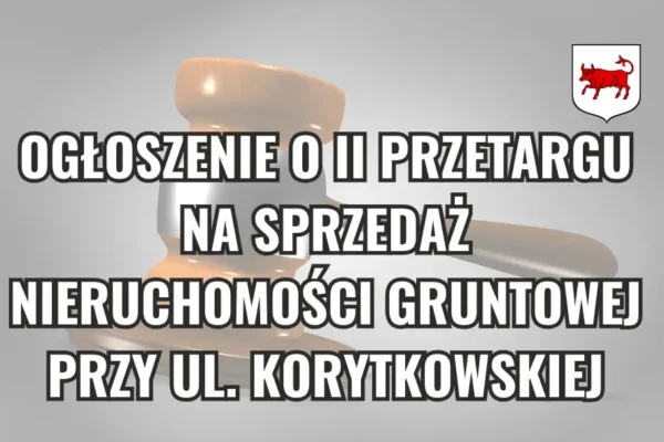 II przetarg na działkę przy ul. Korytkowskiej w Turku – cena wywoławcza 45 tys. zł