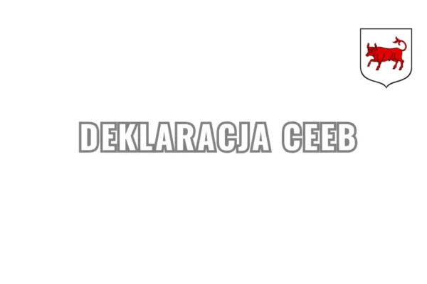 Obowiązek składania deklaracji CEEB – co musisz wiedzieć?