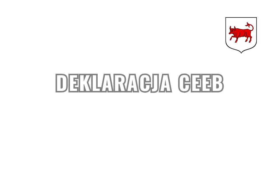 Obowiązek składania deklaracji CEEB – co musisz wiedzieć?