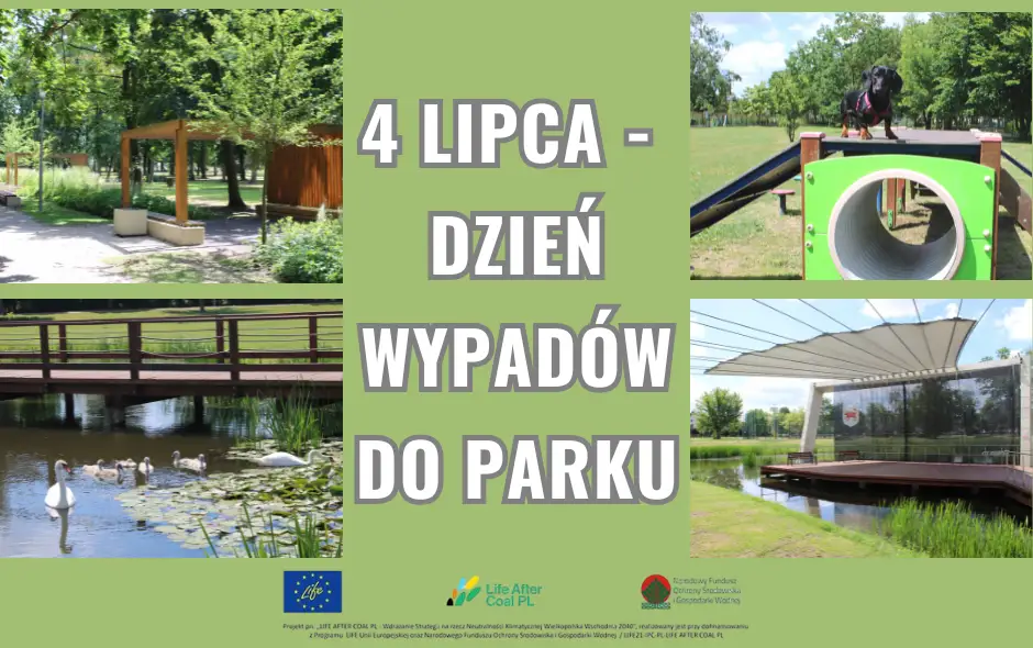 Dzień Wypadów do Parku – święto natury i relaksu