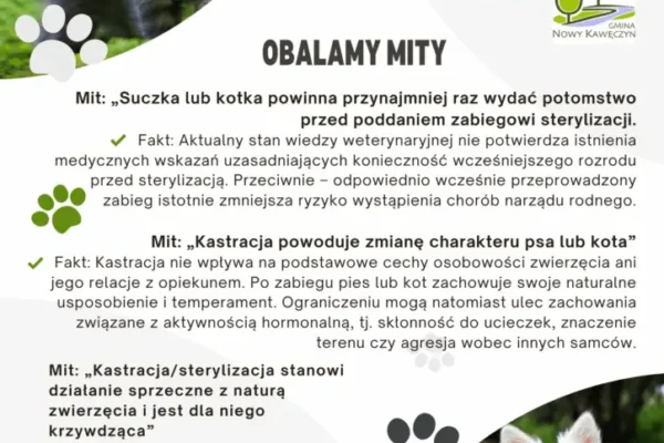 Odpowiedzialna opieka nad zwierzętami – apel gminy Kawęczyn