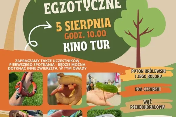 Egzotyczne Warsztaty w MDK: ostatnia szansa na bilety!