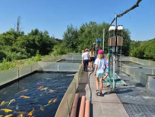 Półkolonie w Gminie Kawęczyn: Dzień pełen atrakcji na farmie rybek Koi
