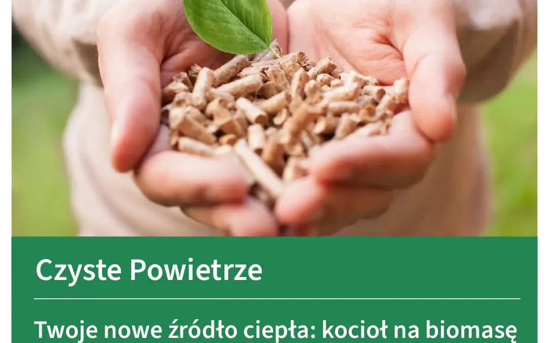 Jak prawidłowo eksploatować kocioł na biomasę? Poradnik dla beneficjentów Czystego Powietrza
