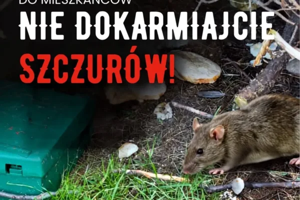 Turek: Nie dokarmiajmy szczurów na Placu Wojska Polskiego