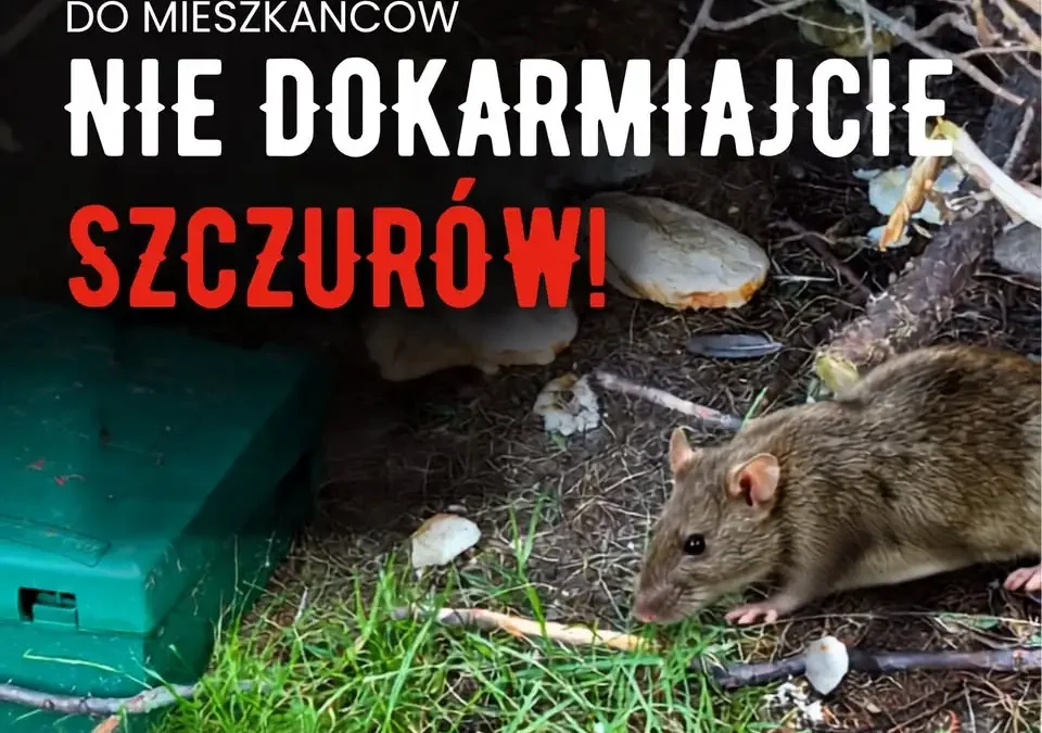 Turek: Nie dokarmiajmy szczurów na Placu Wojska Polskiego