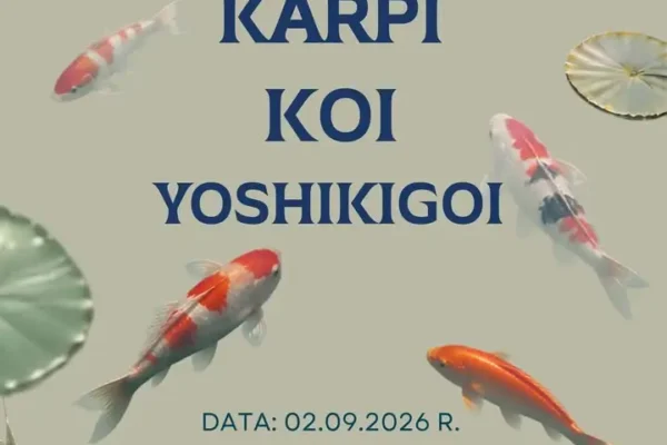 Odkryj Farma Karpi Koi w Chocimiu – wyjątkowe miejsce z certyfikatem Ziemi Tura