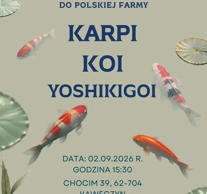 Odkryj Farma Karpi Koi w Chocimiu – wyjątkowe miejsce z certyfikatem Ziemi Tura
