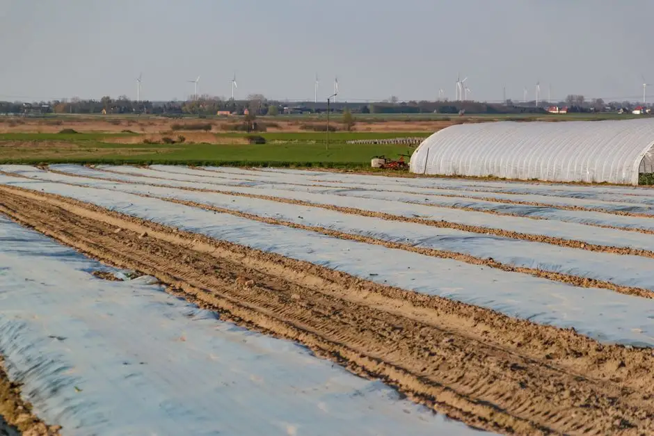 Rolnicy z gminy Malanów ponownie oddadzą odpady rolnicze