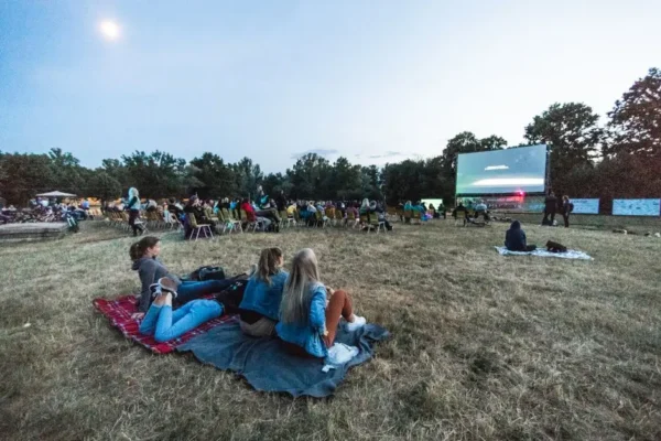 Kino pod gwiazdami w gminie Władysławów – letnie seanse w plenerze