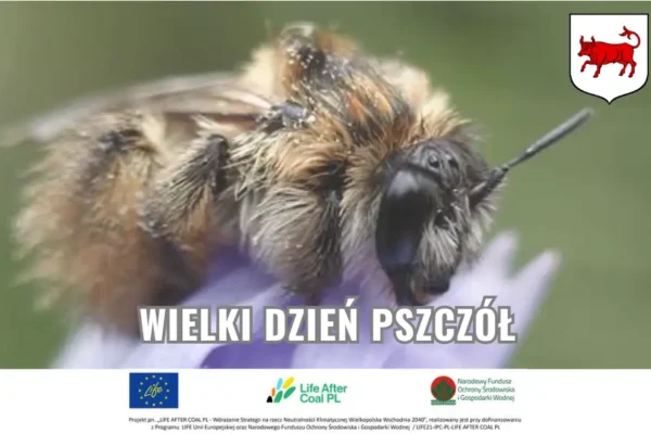 Wielki Dzień Pszczół: Święto Zapylaczy i Ich Roli w Naszym Ekosystemie