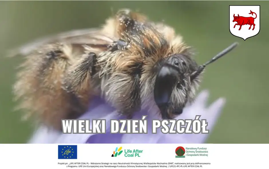 Wielki Dzień Pszczół: Święto Zapylaczy i Ich Roli w Naszym Ekosystemie