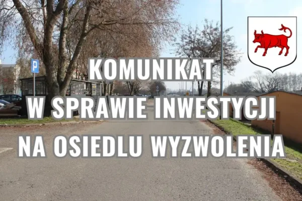 Mieszkańcy zdecydowali: drzewa ważniejsze niż parkingi w Turku