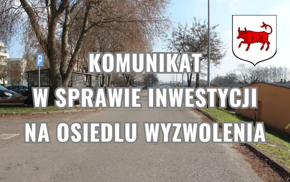Mieszkańcy zdecydowali: drzewa ważniejsze niż parkingi w Turku