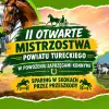 II Otwarte Mistrzostwa Powiatu Tureckiego w Powożeniu Zaprzęgami Konnymi – sparing w skokach przez przeszkody