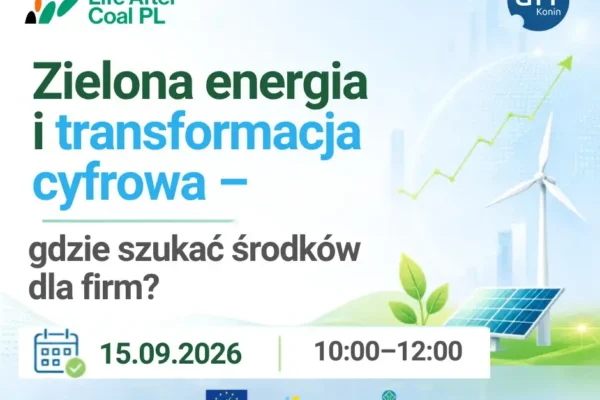 Bezpłatne szkolenie online dla przedsiębiorców o cyfryzacji i zielonych inwestycjach – 15 września