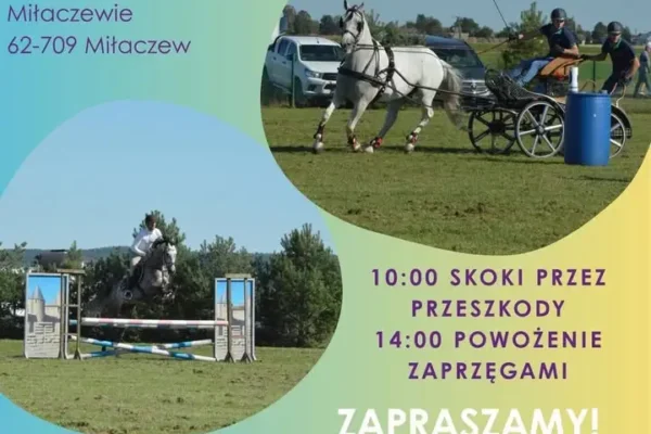 II Otwarte Mistrzostwa Powiatu Tureckiego w powożeniu zaprzęgami konnymi – 20 września w Miłaczewie