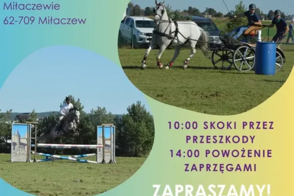 II Otwarte Mistrzostwa Powiatu Tureckiego w Powożeniu Zaprzęgami Konnymi w Miłaczewie