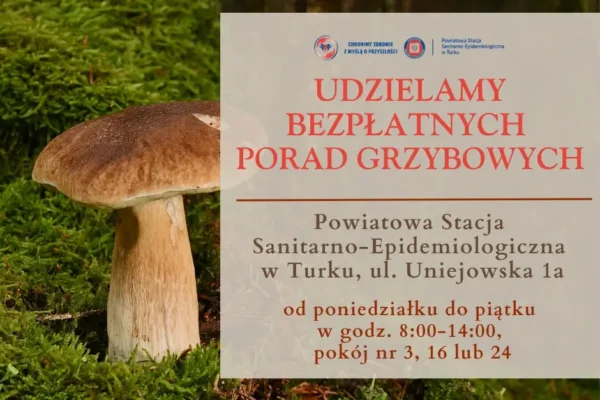 Nie jesteś pewien, czy grzyb jest jadalny? W Turku pomogą specjaliści