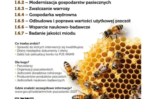 Nabór na wsparcie pszczelarzy rusza 23 października – sprawdź, jak skorzystać