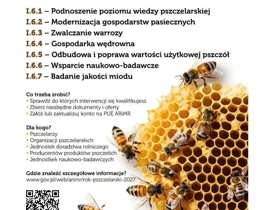 Nabór na wsparcie pszczelarzy rusza 23 października – sprawdź, jak skorzystać