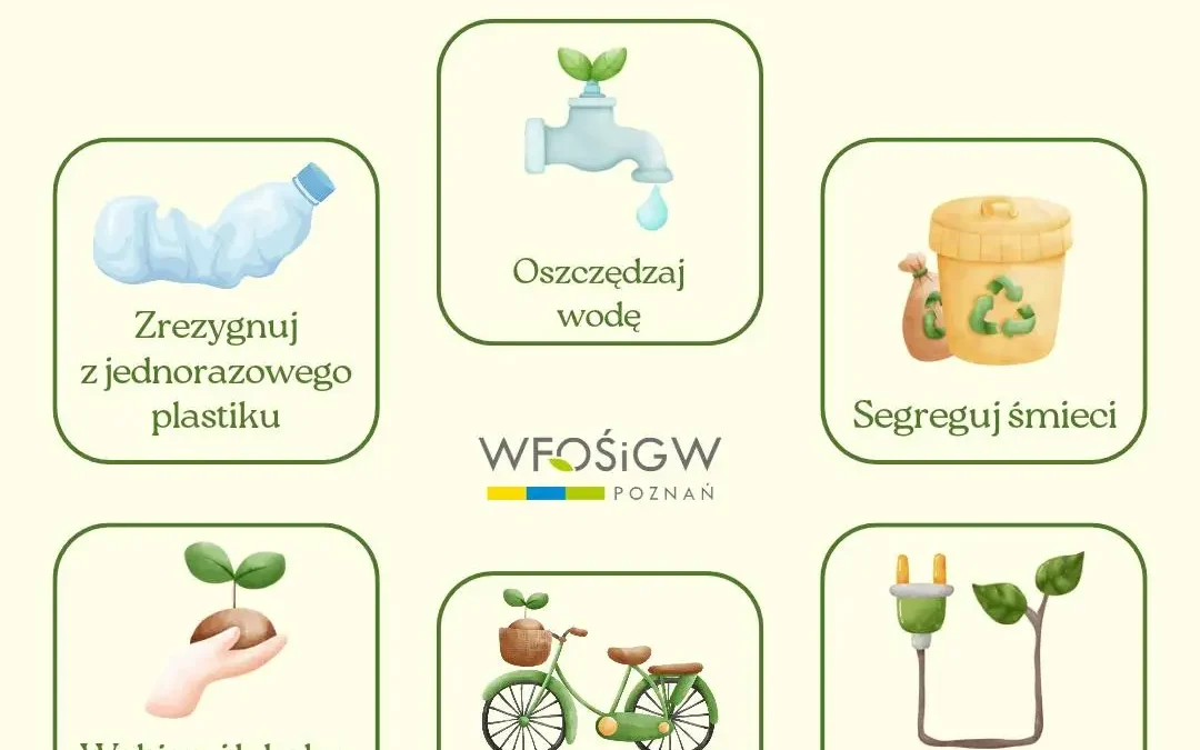 6 prostych nawyków, które pomogą Ci żyć bardziej eko