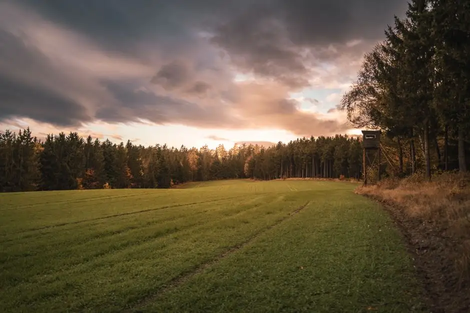 Harmonogram polowań zbiorowych w Gminie Władysławów na sezon 2026/2027