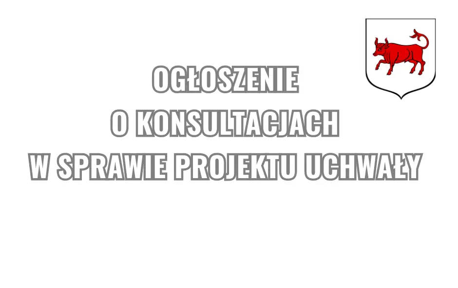 Turek: konsultacje w sprawie przystanków autobusowych i bezpieczeństwo w szkołach